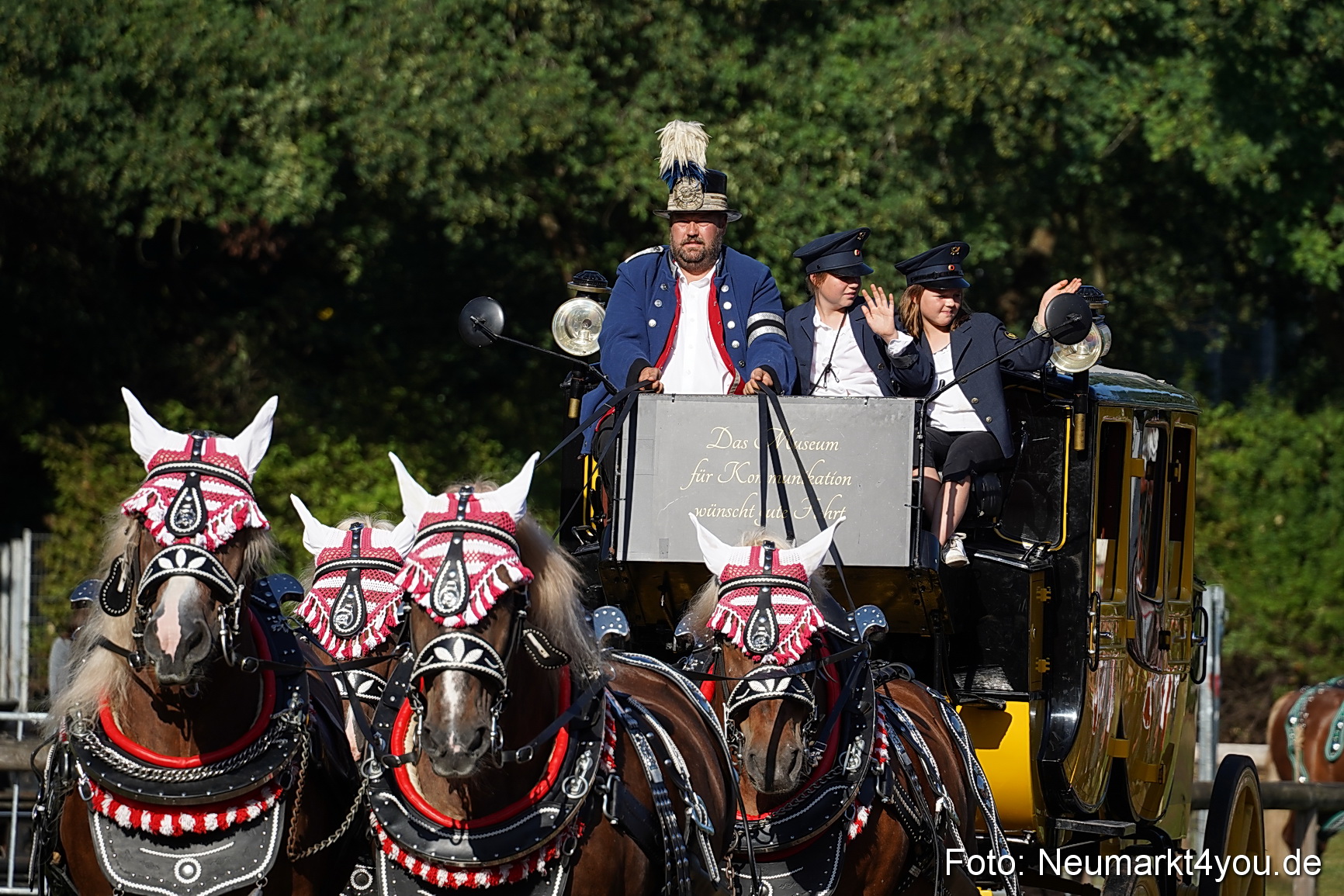 Pferde und Fohlenschau 2022 0003 